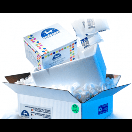 [0556-N15-MBC137] Amplirun® SARSsize:CoVsize:2 RNA Control size: 12,500size:20,000 c/μl