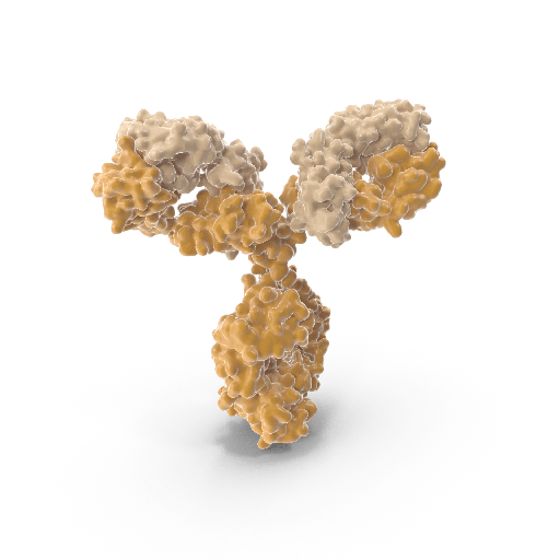 [0812-SL3523Hu] Human Antisize:Haemophilus Influenzae Type B Antibody, Antisize:Hib ELISA Kit size: 96 Tests